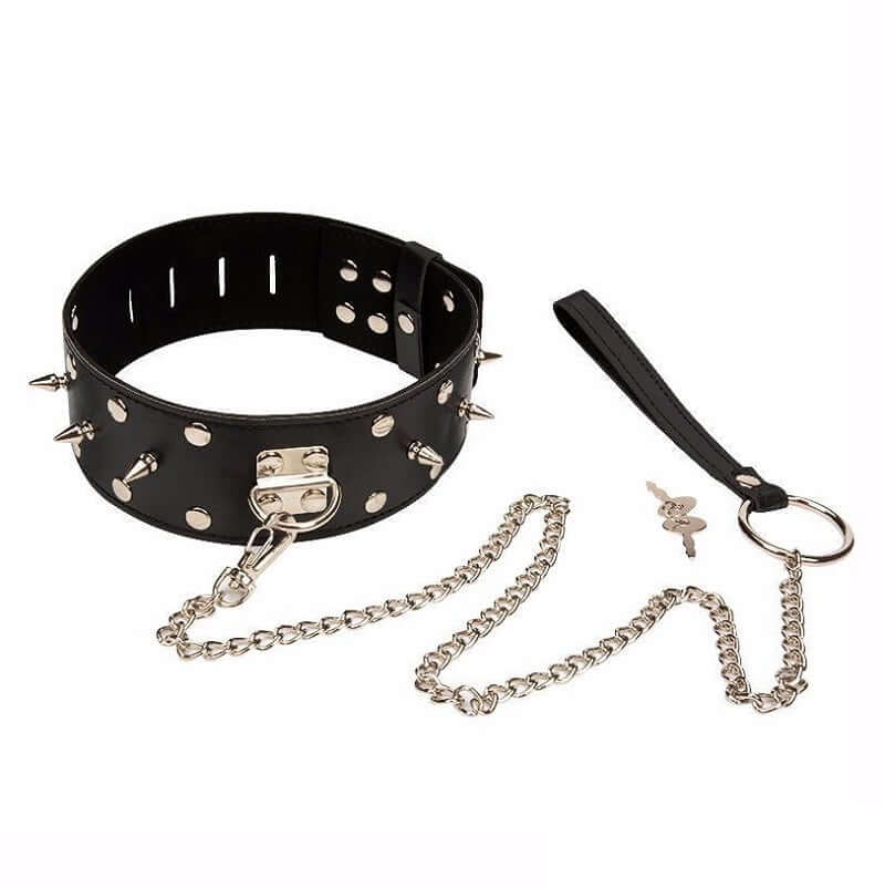 Collars & Leashes