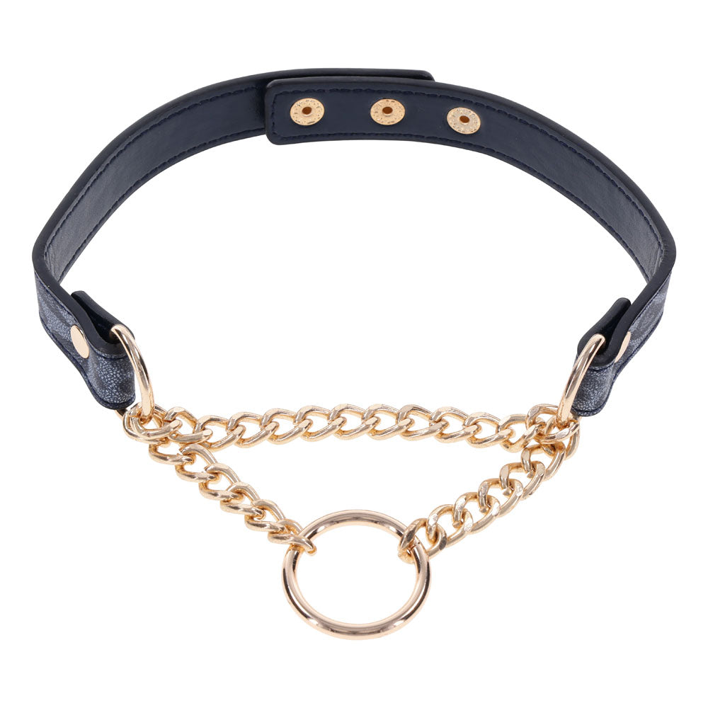 Sex &amp; Mischief Cougar Day Collar - Navy Blue/Gold Collar